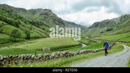 UK, Lake District, Longsleddale Tal, reifer Mann zu Fuß auf Feld Pfad in ländlichen Landschaft Stockfoto