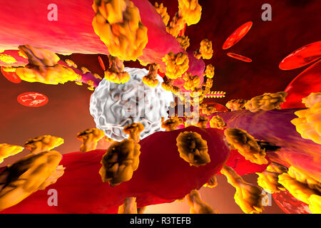 3D-Darstellung eines Ebola Virus kämpfen mit leukozyten Abwehrzellen im Blut durch erythrozytären Zellen umgeben Stockfoto