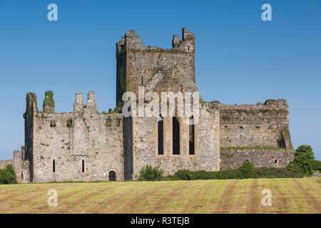 Irland, County Wexford, Hook Halbinsel, Campile, Dunbrody Abbey, 12. Jahrhundert Stockfoto