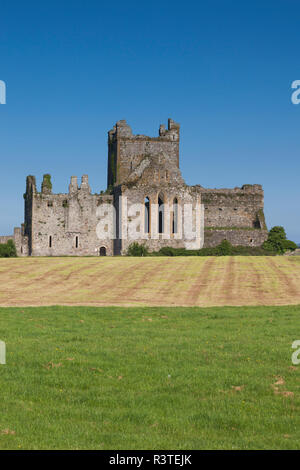 Irland, County Wexford, Hook Halbinsel, Campile, Dunbrody Abbey, 12. Jahrhundert Stockfoto