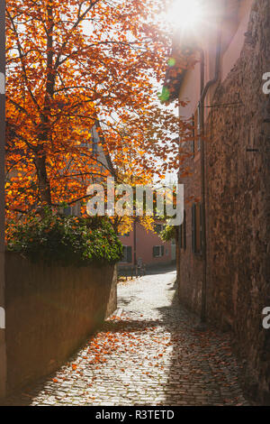 Deutschland, Rheinland-Pfalz, Freinsheim, Stadtmauer und leere Gasse im Herbst Stockfoto