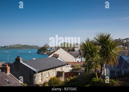 Großbritannien, Nordirland, County Down, Strangford, Häuser Stockfoto
