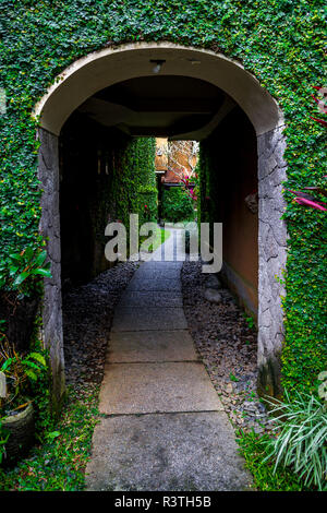 Bürgersteig mit Zement Tunnel und grünes Laub vor und am Ende der Promenade. Stockfoto