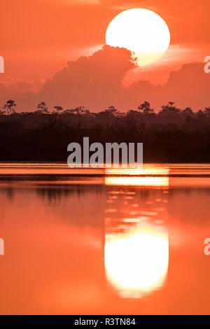 Belize, Crooked Tree Wildlife Sanctuary. Sonnenaufgang über der Lagune. Stockfoto