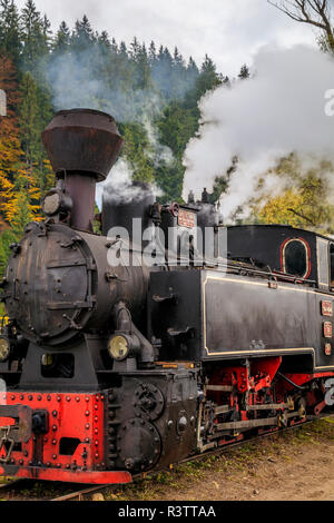 Europa, Rumänien. Moldovita, alte Dampflok. Stockfoto