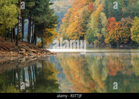 Maramures, Rumänien. Baia Mare. Firiza. See Firiza. Herbst Farbe. Stockfoto