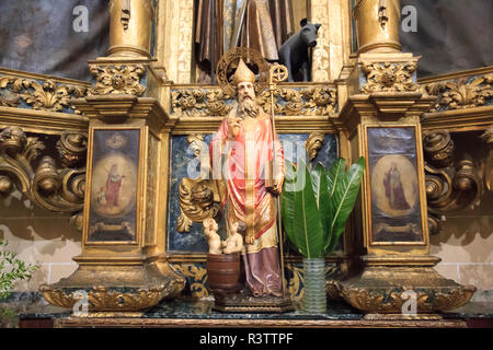 Spanien, Balearen, Mallorca, Palma de Mallorca. Iglesia de San Nicolas. Kirche St. Nikolaus Altar. Stockfoto