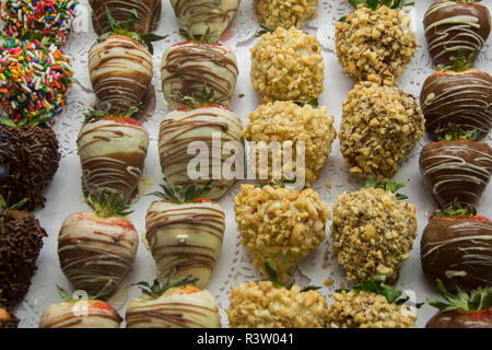 Essen detail. Gourmet Schokolade getauchte Erdbeeren in Nüssen bedeckt und Streuseln. Stockfoto