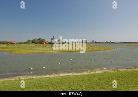 Oosterschelde Nationalpark in moriaanshoofd, schouwen - duiveland, Südliche Niederlande Stockfoto