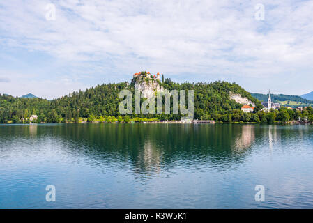 Die Burg von Bled am See von Bled in Slowenien spiegelt sich auf Wasser Stockfoto