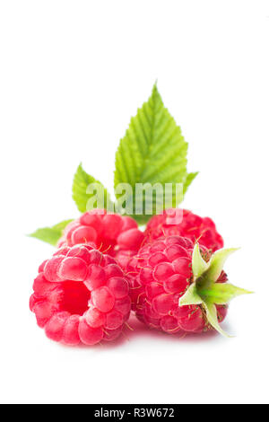 Himbeeren Stockfoto