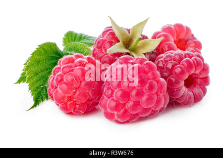 Frische Himbeeren Stockfoto