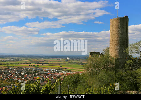 Die strahlenburg über schriesheim im September 2015 Stockfoto