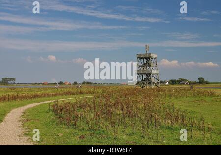 Nationalpark Oosterschelde in moriaanshoofd, schouwen - duiveland, Südliche Niederlande Stockfoto