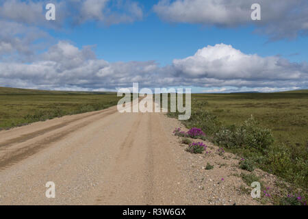 Nome, Alaska Sehenswürdigkeiten entlang den Bob Blodgett Nome-Teller-Autobahn (aka Teller Road). Abgelegenen Feldweg, Blick auf die Landschaft. Stockfoto