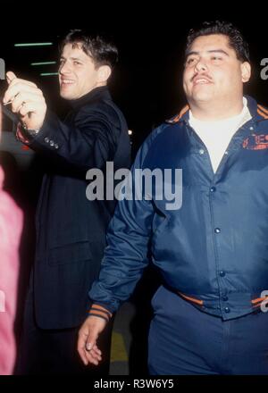 WESTWOOD, CA - 22. Februar: Schauspieler Costas Mandylor nimmt an Warner Bros. Pictures' 'Falling Down' Premiere am 22. Februar 1993 in Manns Dorf Theater in Westwood, Kalifornien. Foto von Barry King/Alamy Stock Foto Stockfoto