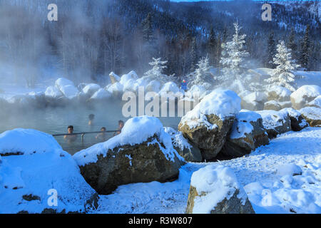 Bereich um den Chena Hot Springs, in der Nähe von Fairbanks, Alaska Stockfoto