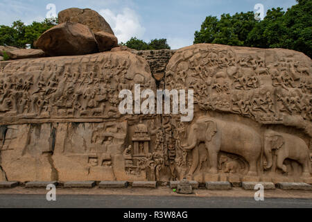 Abstieg des Ganges, Mamallapuram, Tamil Nadu, Indien Stockfoto