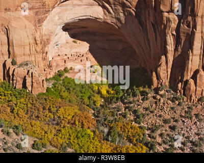 USA, Arizona, Cameron, Navajo National Monument betatakin Wohnung Website Stockfoto