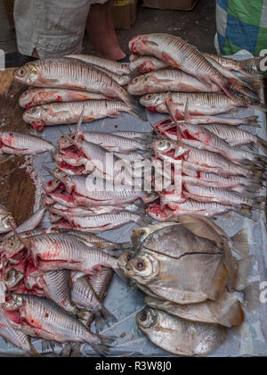 Iquitos, Peru - September 21, 2017: Typisch lokalen Basar in Peru mit vielen lokalen Produkte. Belem. Lateinamerika. Stockfoto