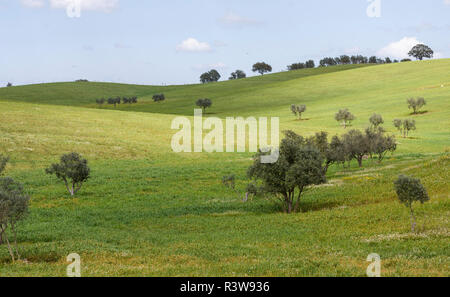 Landschaft in der Nähe von Mértola im Naturpark Parque Natural do Vale do Guadiana, Portugal, Alentejo Stockfoto