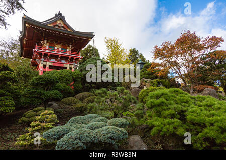 San Francisco japanische Gärten Stockfoto