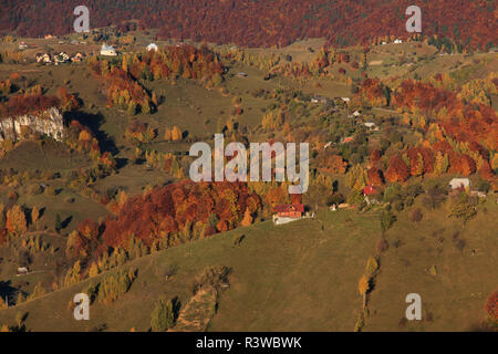 Rumänien, Siebenbürgen, Karpaten, Magura, Piatra Craiului National Park. Herbstfarben. Stockfoto