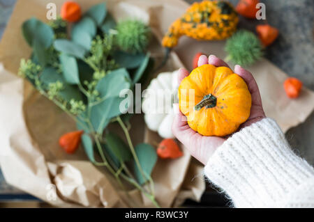 Herbstliche Dekoration, Woman's Hand, die ornamentalen Kürbis Stockfoto