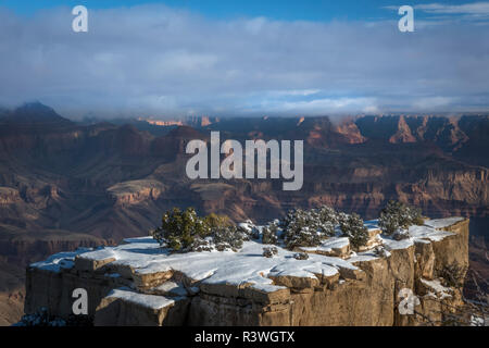 USA, Arizona, der Grand Canyon National Park. Überblick über die Schlucht. Credit: Jay O'Brien/Jaynes Galerie/DanitaDelimont.com Stockfoto