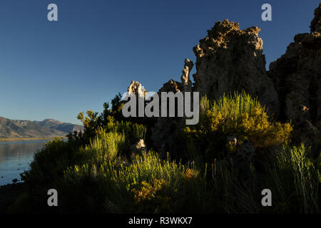 Tuffstein Türme bei Sonnenaufgang, Mono Lake, Great Basin, in der Nähe von Lee Vining, Kalifornien. Stockfoto