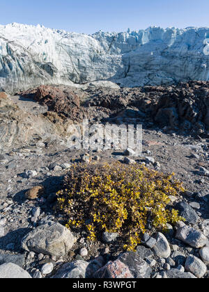 Endstation der Russell Gletschers. Landschaft in der Nähe des Grönländischen Eisschildes in der Nähe von Kangerlussuaq, Grönland, Dänemark Stockfoto