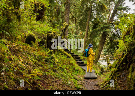 USA, Alaska, Tongass National Forest, Anan Creek. Touristen auf dem Weg zu tragen Anzeigebereich Stockfoto