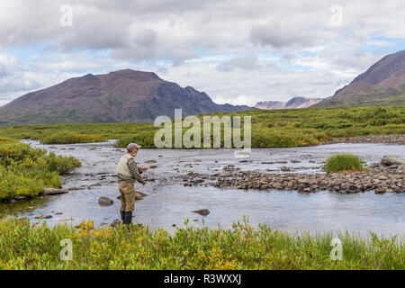 USA, Alaska, Alaska Range. Mann angeln Rock Creek. (MR) Stockfoto