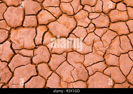 Risse im Schlamm Muster auf der Playa, Clark trockenen See, Anza-Borrego Desert State Park, Kalifornien, USA Stockfoto