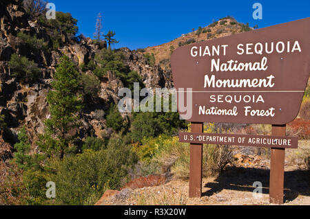 Giant Sequoia National Monument auf dem Kern River, Sierra Nevada, Kalifornien, USA Stockfoto