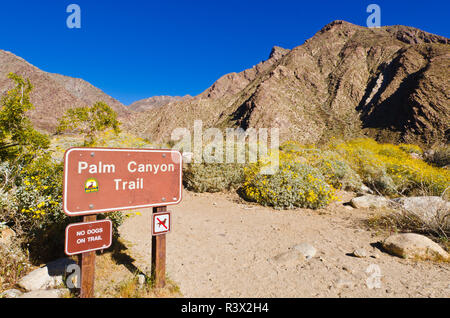 Trail anmelden, Borrego Palm Canyon, Anza-Borrego Desert State Park, Kalifornien, USA Stockfoto