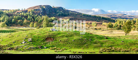 Panoramablick auf die schottischen Highlands im Freien mit Hirsche liegend auf grünem Gras in einer schönen sonnigen Tag, Highland Wildlife Safari Park, Schottland Stockfoto