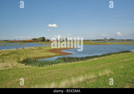 Nationalpark Oosterschelde in moriaanshoofd, schouwen - duiveland, Südliche Niederlande Stockfoto