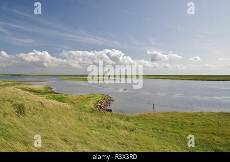 Nationalpark Oosterschelde in moriaanshoofd, schouwen - duiveland, Südliche Niederlande Stockfoto