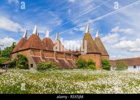 Oast House mit blume Feld davor in Sussex, UK Stockfoto