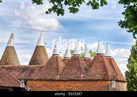 Oast House mit blume Feld davor in Sussex, UK Stockfoto