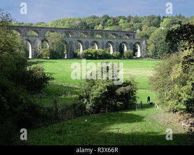 Schmale Bootsfahrt von Anglo Welsh Trevor Bootswerft auf dem Llangollen-kanal North Wales und England. Stockfoto