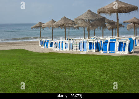 Strand und Gras Stockfoto