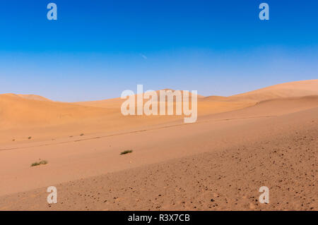 Die Sanddünen an der Echo Sand Mountain in der Nähe von Dunhuang in der Provinz Gansu, China. Stockfoto