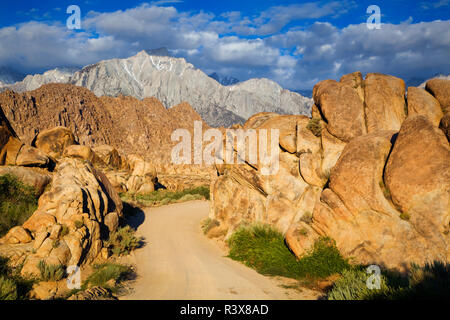 USA, Kalifornien, Sierra Nevada. Dirt Road führt durch Ausläufer. Stockfoto