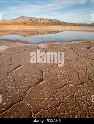 Warmes Abendlicht leuchtet auf einem Berg Hintergrund sowie die Reflexion aus Death Valley National Park, Kalifornien Stockfoto