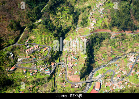 Terrassierten Feldern von Curral das Freiras Dorf im Tal der Nonnen, Madeira, Portugal Stockfoto