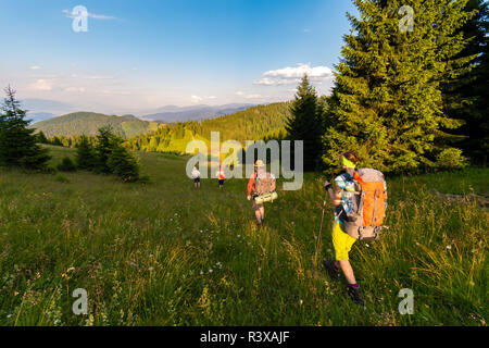 Gruppe von Backpackers wandern im Abendlicht, Velka Fatra, westlichen Karpaten, Slowakei Stockfoto