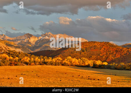 Abend letzten Licht San Juan Berge Herbst Farben aus der OWL-Straße in der Nähe von Fethiye, Colorado. Stockfoto