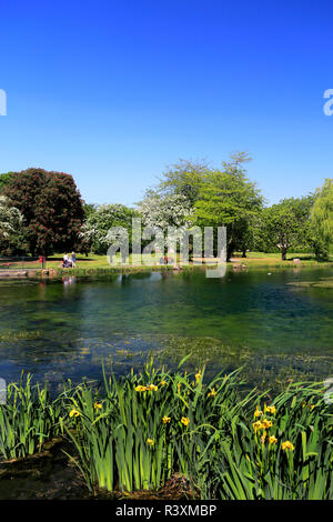 Das War Memorial Gardens, Bourne Eau, Bourne, Lincolnshire, England, Großbritannien Stockfoto